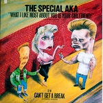WHAT ILIKE MOST SBOUT IS YOUR FRIEND! / The SPECIAL AKA 12inch LP ska Ragae 2TONE disco 